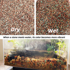 Assorted lava rocks arranged in a colourful terrarium