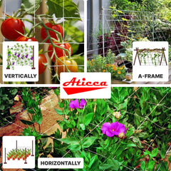 Aticca trellis netting supporting climbing plants