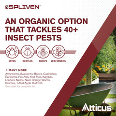 Atticus Spliven Insecticide bottle on a garden table