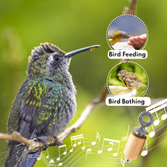 Audubon Bird Call Natural Gift Pack with powdered rosin