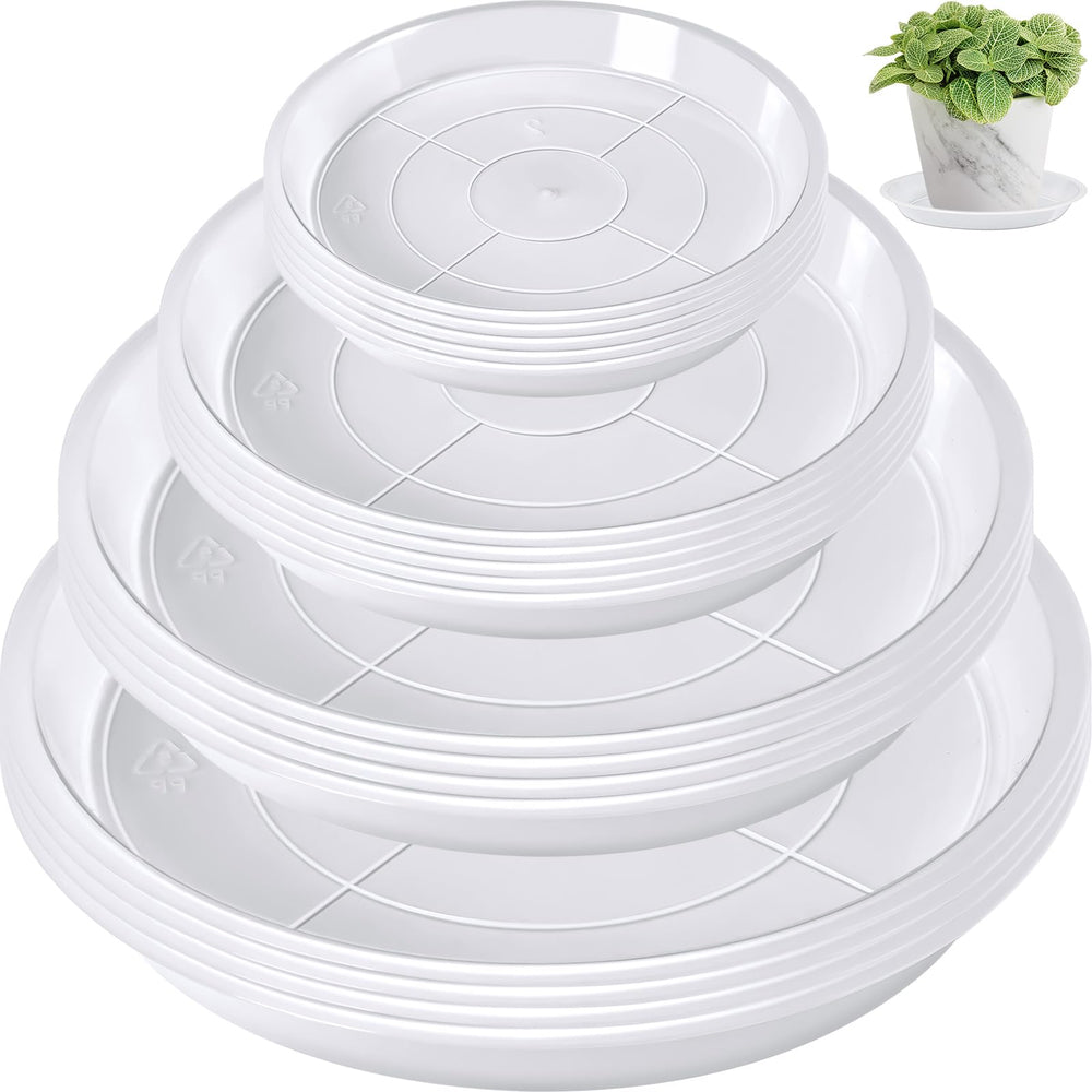 Augshy 18 Pack Plant Saucer Set, clear trays of various sizes