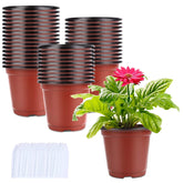 Augshy 250Pcs 4-Inch Plant Pots in red colour front view