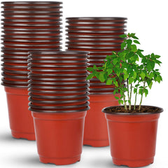 Augshy 4-inch red nursery pot front view
