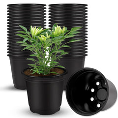 Augshy 40 Pcs 4-Inch Black Plastic Nursery Pots front view