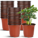 Augshy 40 Pcs 6-Inch Plastic Nursery Seed Starting Pots, Red front view