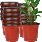 Augshy 6 Inch Plastic Nursery Pots in terracotta colour