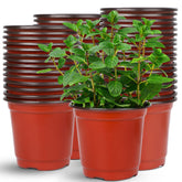 Augshy 75 Pcs 6-inch red plastic nursery pots front view