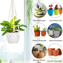 Augshy plant hanger displayed with a plant inside