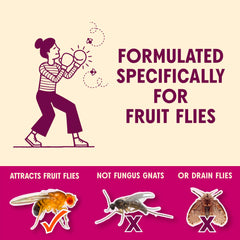 Aunt Fannie's FlyPunch Fruit Fly Trap in kitchen setting