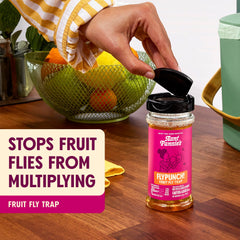 Aunt Fannie's FlyPunch Fruit Fly Trap pack of 6