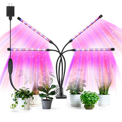 AURAZIGLI LED Grow Light with 4 heads in red and blue colour