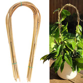 Avalution 16-inch bamboo U-Hoop trellis pack of 20