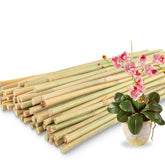 Avalution 50 pack bamboo plant stakes 18 inch front view