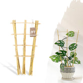 Avalution Bamboo Trellis 10 Pack, fan-shaped design, 24 inches tall
