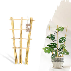 Avalution Bamboo Trellis 10 Pack, fan-shaped design, 24 inches tall