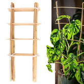 Avalution Bamboo Trellis 10 Pack front view with natural finish