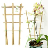 Avalution Bamboo Trellis 16-inch fan-shaped front view