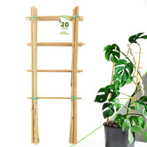 Avalution bamboo trellis 16 inches pack of 20