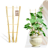 Avalution Bamboo Trellis 3 FT front view
