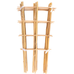 Avalution Bamboo Trellis pack of 10, fan-shaped design, 16 inches