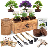 AVERGO Bonsai Tree Kit Classic packaging front view