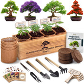 AVERGO Bonsai Tree Kit Classic packaging with tools and seeds