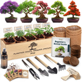 AVERGO Bonsai Tree Kit Deluxe packaging with seed packets