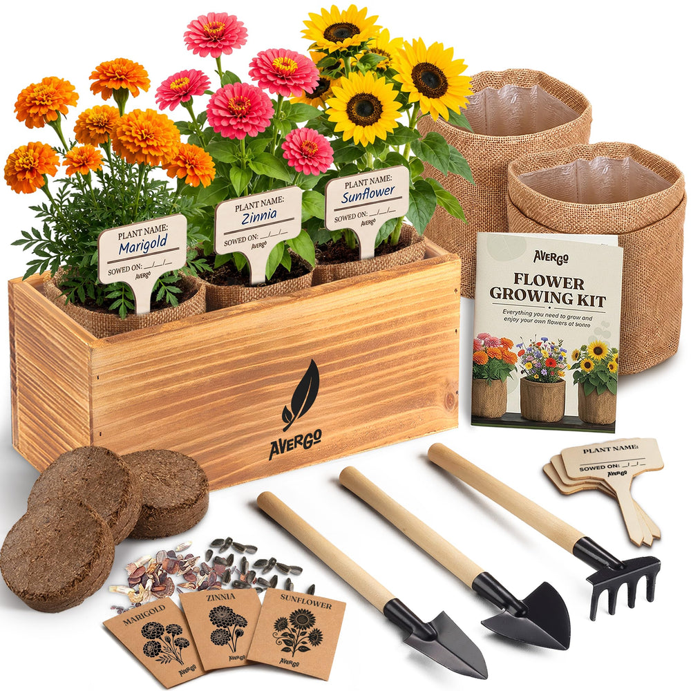 AVERGO Flower Seeds Growing Kit with rustic burlap planters and wood box