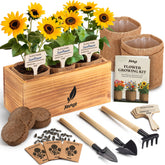 AVERGO Sunflower Seeds Growing Kit with all components displayed