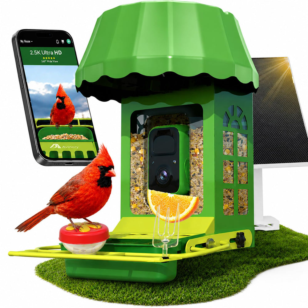 Avinory Smart Bird Feeder front view with solar panel