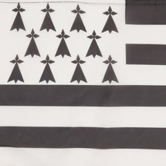 AZ FLAG Brittany Flag in packaging with polybag visible