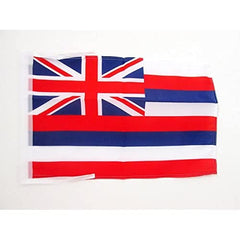 AZ FLAG Hawaii Flag 12x18 inches in polybag packaging