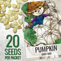 Baby Boo pumpkin seeds in Seed Needs packaging
