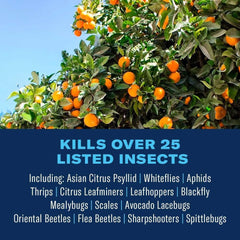 Back label of BioAdvanced Fruit & Citrus Tree Insect Control Concentrate 32 oz