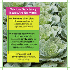 Back of Grow More Maxi-Cal packaging with instructions