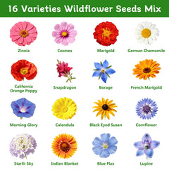 Back of LUOJIBIE Wildflower Seeds Mix packet showing planting instructions