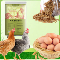 Back of SANSECT Dried Mealworms packaging with nutritional info