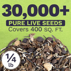 Back of SWEET YARDS wildflower seeds pouch with planting instructions