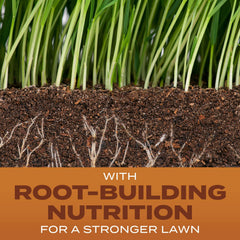Back of the Scotts Turf Builder Grass Seed package with instructions
