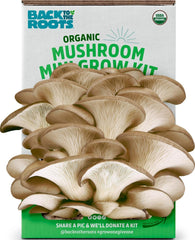 Back to the Roots Organic Mini Mushroom Grow Kit front view