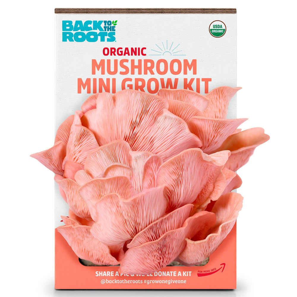 Back to the Roots Organic Pink Miniature Mushroom Grow Kit front view