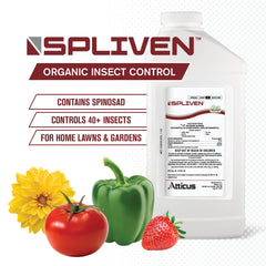 Back view of Atticus Spliven Insecticide bottle with label instructions