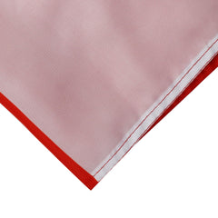 Back view of AZ FLAG Poland with Eagle Flag