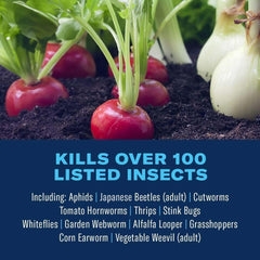 Back view of BioAdvanced Tomato & Vegetable Insect Killer bottle