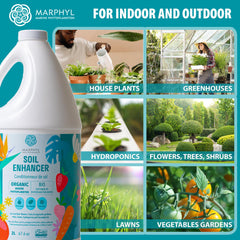 Back view of MARPHYL All-Purpose Plant Food bottle