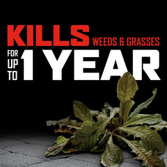 Back view of Ortho GroundClear Year Long Vegetation Killer refill 1 gal