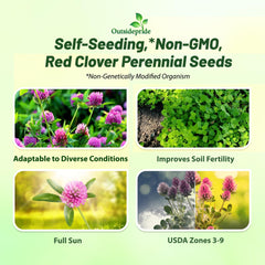 Back view of Outsidepride Red Clover Seeds packaging