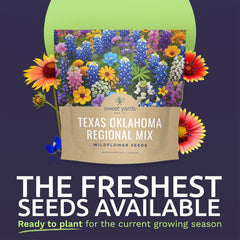 Back view of SWEET YARDS Wildflower Seeds packet with planting instructions