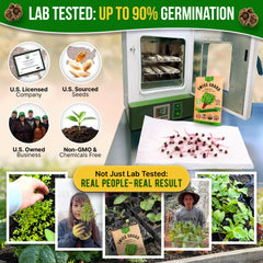 Back view of Swiss Chard seeds pack showing planting instructions