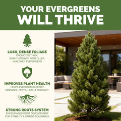 Back view of TPS NUTRIENTS Evergreen Tree Fertilizer bottle